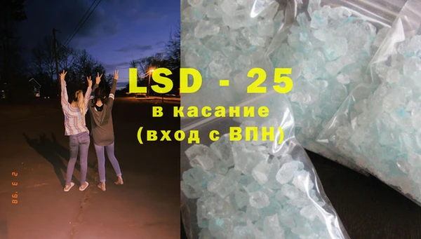 индика Бородино