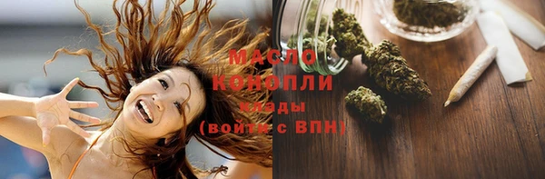 индика Бородино
