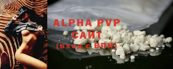 индика Бородино