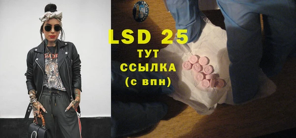 индика Бородино