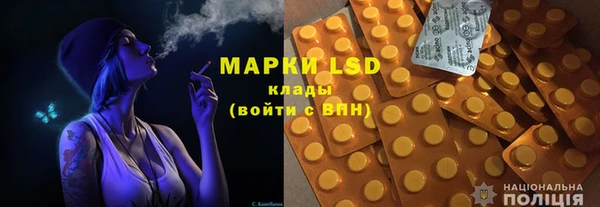 индика Бородино