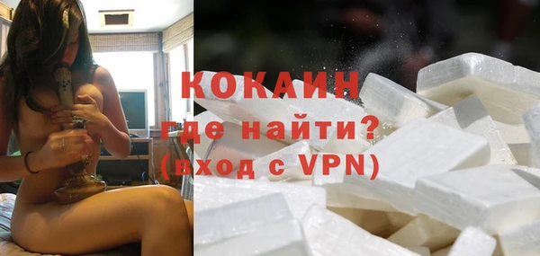 индика Бородино