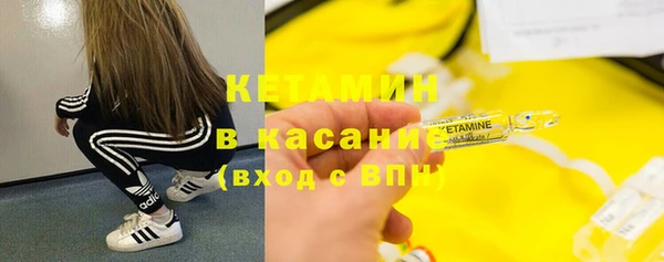 индика Бородино