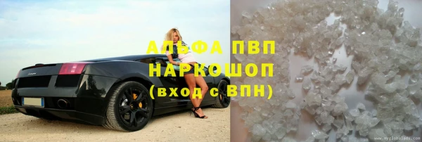 индика Бородино