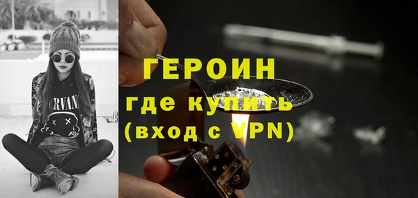 индика Бородино