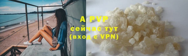 ПСИЛОЦИБИНОВЫЕ ГРИБЫ Бугульма