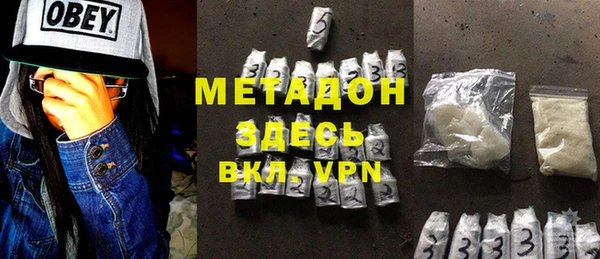 индика Бородино