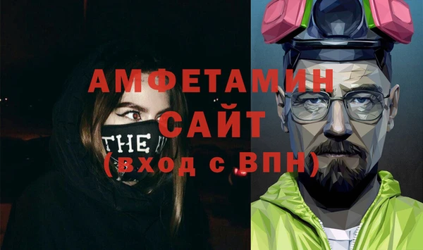 индика Бородино