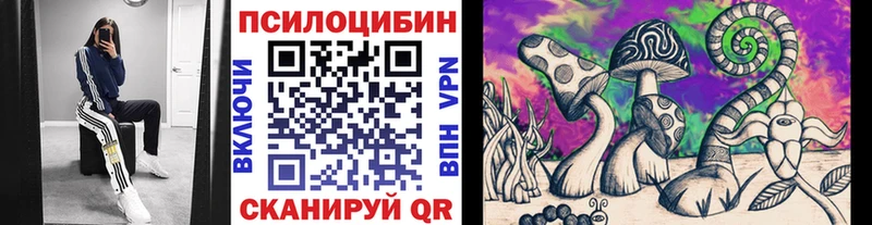 мега tor  Янаул  Псилоцибиновые грибы прущие грибы 